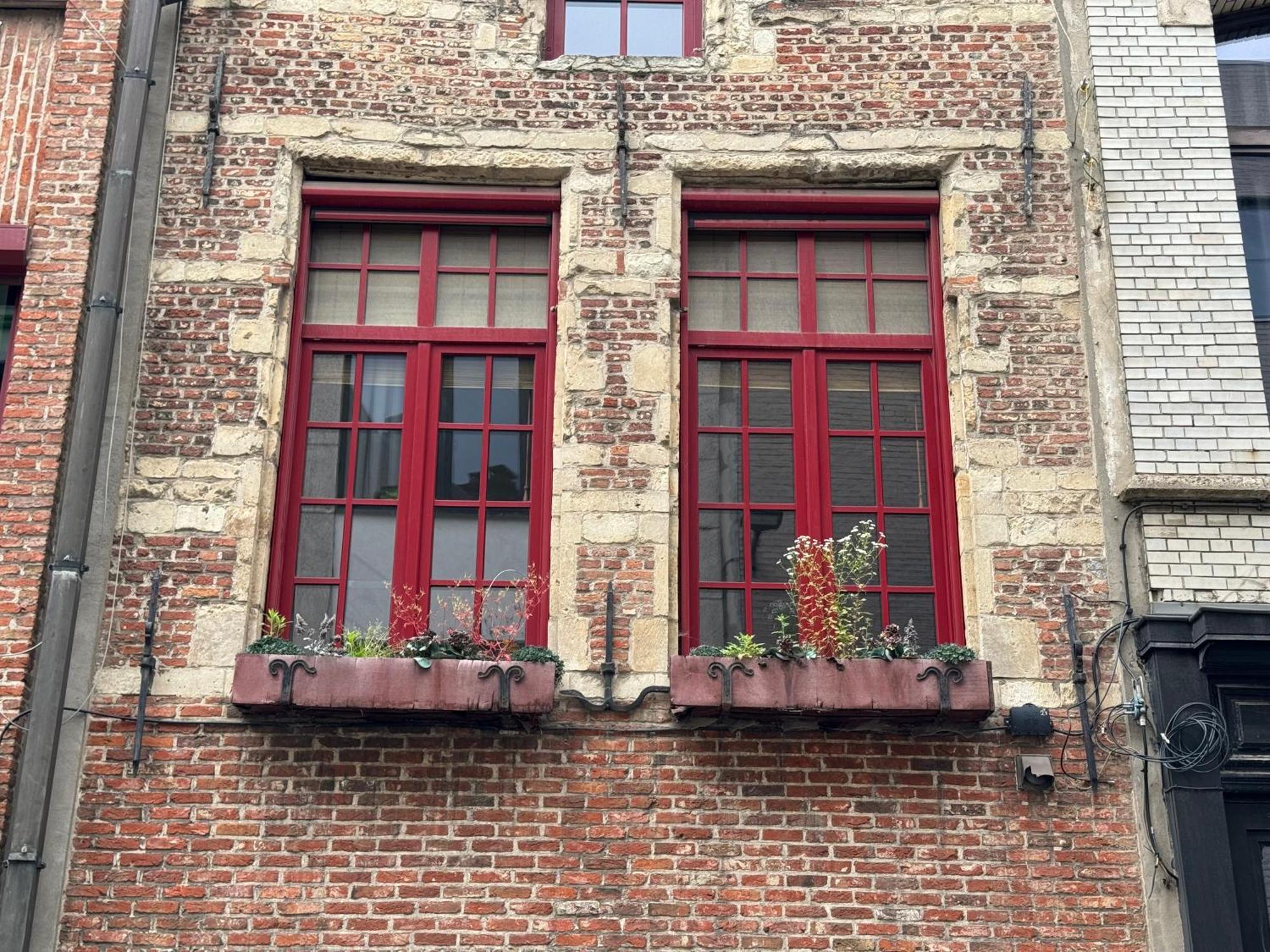 Garden Loft In City Center Meir 1Fl アントウェルペン エクステリア 写真
